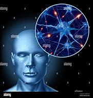 Image result for Blue Brain Stock Image