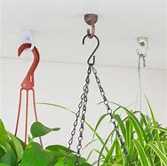 Image result for Ceiling Hooks for Plants