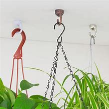 Image result for Ceiling Hooks for Plants