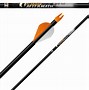 Image result for Easton Carbon Arrow Chart