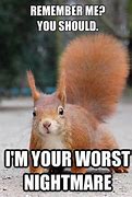 Image result for Funny Squirrel Sayings