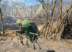 Image result for Bloatfly Fallout