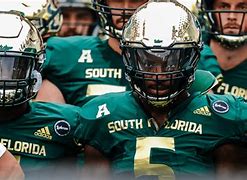 Image result for USF Football NCAA 14