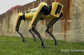 Image result for Robot Voice for Dog