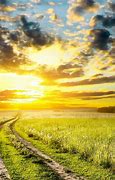 Image result for Early Summer Backgrounds
