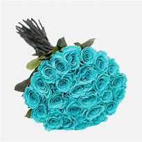 Image result for Tiffany Blue Rose