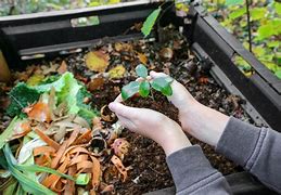Image result for Organic Compost Image HD No Copyright