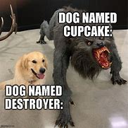 Image result for Planet Destroyer Dog Meme