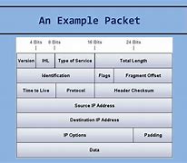 Image result for Packet Data Network