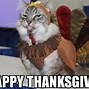 Image result for Happy Thanksgiving Cat Meme