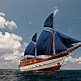 Image result for Tall Ship Model Kits
