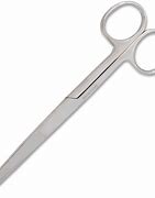 Image result for Stainless Steel Scissors with Round Tip