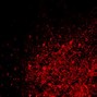 Image result for Red and Black Texture