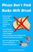 Image result for Do Not Feed Ducks Bread Sign