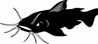 Image result for Catfish Profile Clip Art