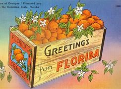 Image result for Jokes About Oranges