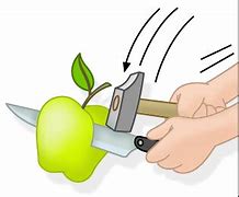 Image result for Cut Apple Clip Art