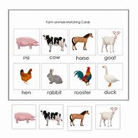 Image result for Farm Animal Matching