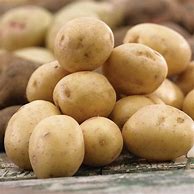 Image result for Yukon Gold Potatoes 5Lbs Bag