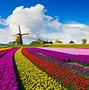Image result for Netherlands Beautiful Scenery