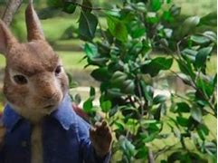 Image result for Peter Rabbit TV Spot