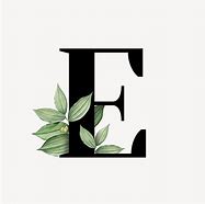 Image result for Graphic Letter E