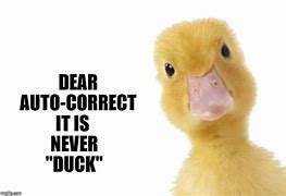 Image result for It's Never Duck Meme