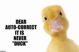 Image result for Its Never Ducking Meme