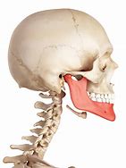 Image result for Infection in Jaw Bone