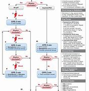 Image result for American Heart Association CPR Steps