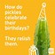 Image result for Inappropriate Old Man Birthday Memes