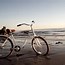 Image result for Sand Cruiser Bike