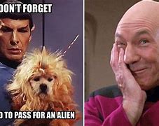 Image result for Star Trek Fans Meme