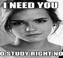 Image result for You Should Be Studying