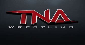 Image result for TNA Wrestling Logo