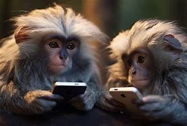 Image result for Monkey Playing Phone