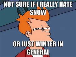 Image result for I Hate Snow Funny
