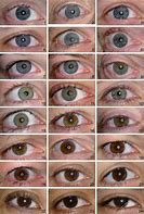 Image result for Eye Color Chart for Passport