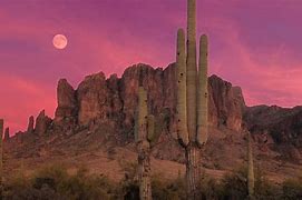 Image result for Winter Desert Background Arizona