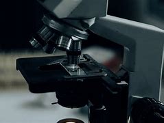Image result for Microbiology Microscope
