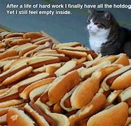 Image result for Funny Cat Lock Screen