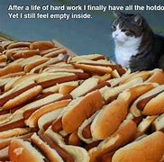 Image result for Business Cat Says Meme