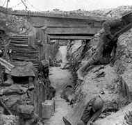 Image result for WW1 Trench Warfare Dead