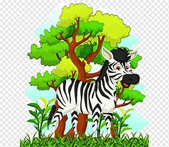Image result for A Zebra Cartoon