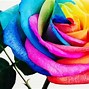 Image result for Colorful Flower Designs