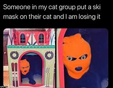 Image result for Cat Mask Meme