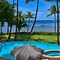 Image result for Maui