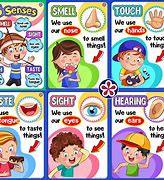 Image result for Senses for Kids
