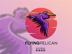 Image result for FSC Pelican Logo