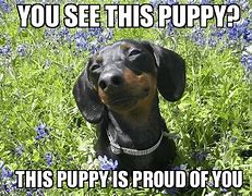 Image result for Proud of You Meme Funny